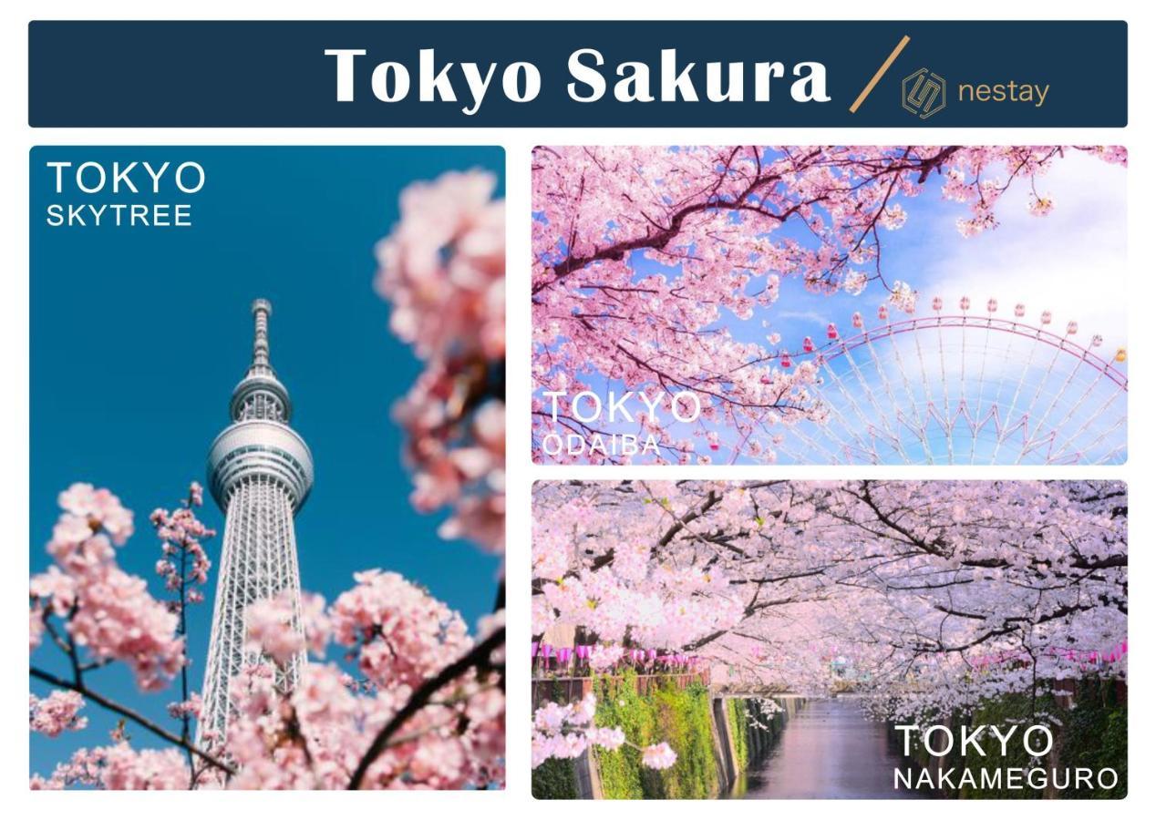 Nestay Inn Tokyo Otsuka 403 Dış mekan fotoğraf