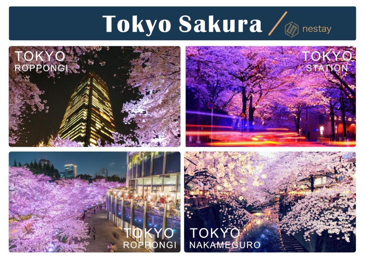 Nestay Inn Tokyo Otsuka 403 Dış mekan fotoğraf